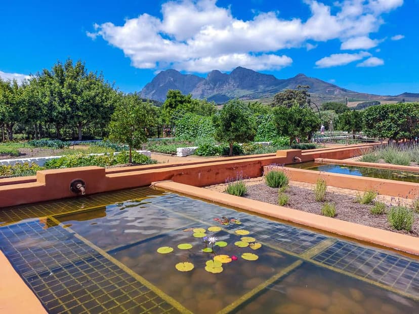 Babylonstoren gallery image