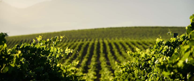 Neethlingshof (1692) gallery image